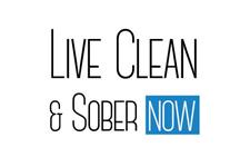 Live Clean & Sober Now image 1