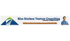 Blue Horizon Venture Consulting image 2