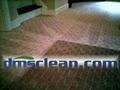DMS Carpet & Upholstery Cleaners image 1