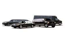 Arrow Limousine image 4