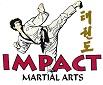 Impact Martial Arts image 1