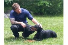 RCM Dog Training image 3