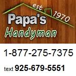 Papas Handyman image 1