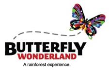 Butterfly Wonderland image 1