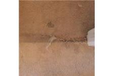 Peoria Carpet Repair & Cleaning image 3