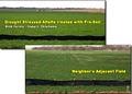 Pro Soil Bio Solutions for Agriculture image 2