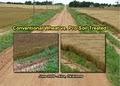 Pro Soil Bio Solutions for Agriculture image 1