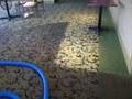 Top Notch Carpet & Upholstery Cleaning image 3
