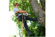 Erie Tree Trimmers image 2