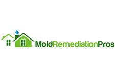 Mold Remediation Pros image 1