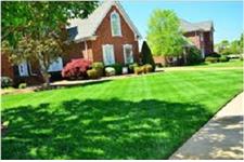 We Care Lawn Care Solutions image 2
