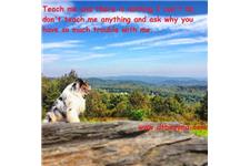 Dog Training Beyond, LLC image 2