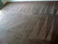 Shepherd Carpet Cleaning image 2