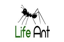 Life Ant image 1