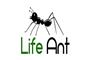 Life Ant logo