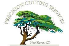 Tree Removal - Precision Cutting Services image 1