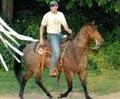 Horse Training yourhorseman.com image 2