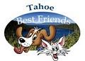 Tahoe Best Friends image 1