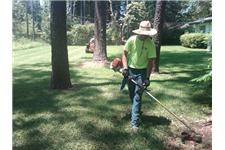 Mr Tree and Lawn Service LLC image 2