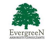 Evergreen Arborist Consultants image 1