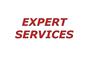Expert Services logo
