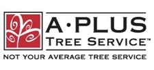 A Plus Tree Service image 1