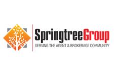 Springtree Group, LLC image 1