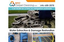 NYC Carpet Cleaning image 5