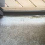 Peoria Carpet Repair & Cleaning image 1