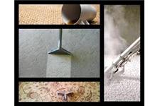 Carpet Cleaning Pros Township image 1