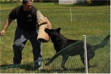 Dog Training Beyond, LLC image 9