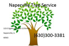Naperville Tree Service image 1