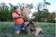 V-Bharre Ranch | Fallow Deer, Scimitar Oryx, Aoudad Sheep Hunting, Blackbuck Hunting in Texas image 1