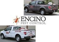 Encino Pest Control image 4