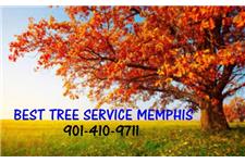 Best Tree Service Memphis image 3