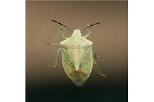 Spectrum Pest Control image 6