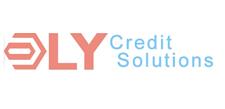 DLY Credit Solutions image 1