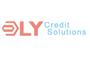 DLY Credit Solutions logo