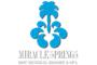 Miracle Springs Resort & Spa logo