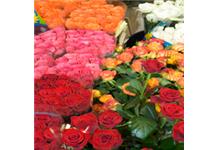 Mainstreet Flower Market image 4