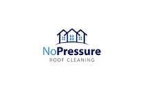 No Pressure Roof Cleaning image 1