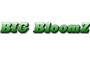 Big Bloomz logo