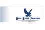 Blue Eagle Painting Inc. logo