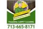 Carpet Cleaning Pasadena TX logo