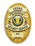 Texas Enforcer L.L.C. image 1