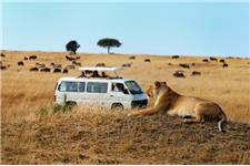 Inside Africa Budget Safaris image 4
