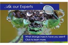 University Termite & Pest Control Inc. image 3