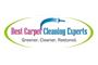 Best Carpet Cleaning Experts logo