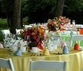 Belvedere Events & Banquets image 4