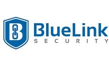 BlueLink Security image 1